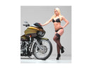 Harley Davidson Sportster [1986-2010] – T-5 2-teiliger Bremsscheibe Chrom 11,5"-8