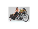 Harley Davidson Touring [2008-2024]-T-5 brake disc stainless steel polished 11.8 "-9