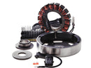 Harley Davidson Dyna [2003-2005] – 3-Phasen-Ladesystem Motorräder mit geschlossenen-3