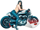 Harley Davidson Sportster [2004-2020] – Heck für Sportster Cafe Racer Modelle-1