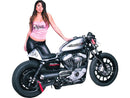 Harley Davidson Sportster [2004-2020] – Heck für Sportster Cafe Racer Modelle-3