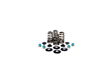 Harley Davidson FX Model [1985-1994] -hoge prestaties bijenmandventielveerkit