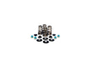 Harley Davidson FX Model [1985-1994] -hoge prestaties bijenmandventielveerkit-1