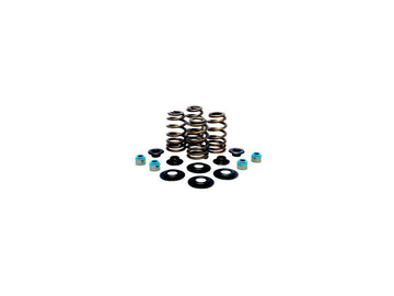 Harley Davidson FX Model [1985-1994] -hoge prestaties bijenmandventielveerkit