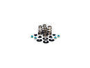 Harley Davidson FX Model [1985-1994] -hoge prestaties bijenmandventielveerkit-3