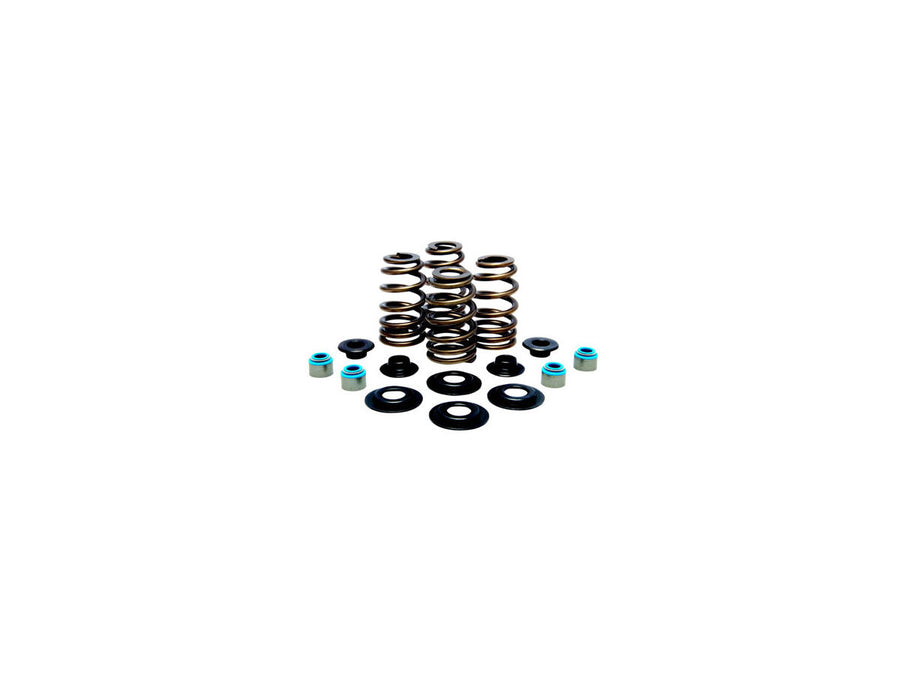 Harley Davidson FX Model [1985-1994] -hoge prestaties bijenmandventielveerkit