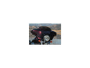 Harley Davidson flhtcui [2005-2006] -hoogprestatie vervangende wind windscherm Hoogte: 4 "-1