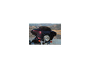 Harley Davidson flhtcui [2005-2006] -hoogprestatie vervangende wind windscherm Hoogte: 4 "-3
