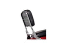 Harley Davidson Scout [2015-2024]-Paladine Backrest Chrome Steel-1