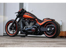Harley Davidson FXDRS 114 Anwendungsbereich [2019-2020] – Seitenmontage-13
