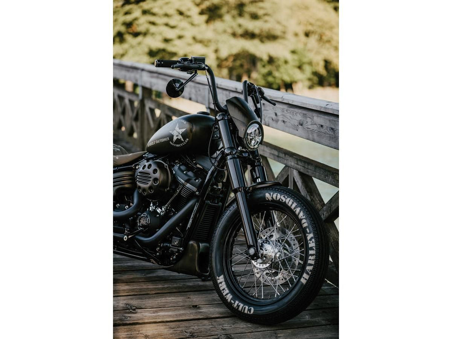 Harley Davidson Softail [2018-2025]-Bobber chin cladding