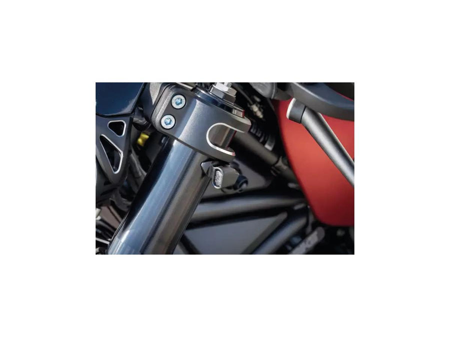 Harley Davidson Sportster S RH1250S Anwendungsbereich [2021-2025]