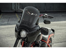 Harley Davidson FXLR [2018-2020] – Club Style Pullback No Instrument Riser Kit-14