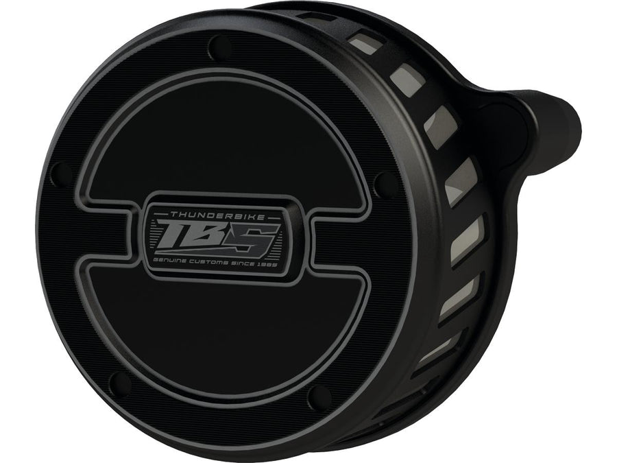 Harley Davidson Sportster [2017-2020]-TB-S air filter flat black