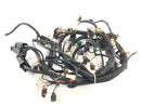 Aprilia RSV 1000 RR Factory [2009] - Wiring Harness-1