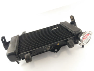 Yamaha YZF 125 RE06 [2011] - Kühler Wasserkühler - 0