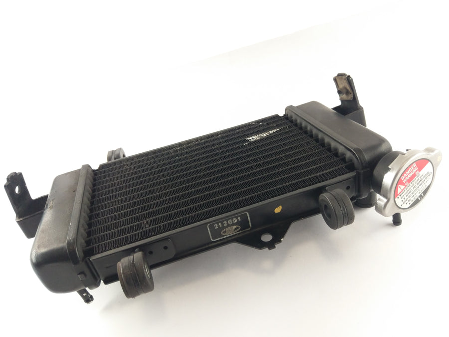 Yamaha YZF 125 RE06 [2011] - Koel waterkoeler