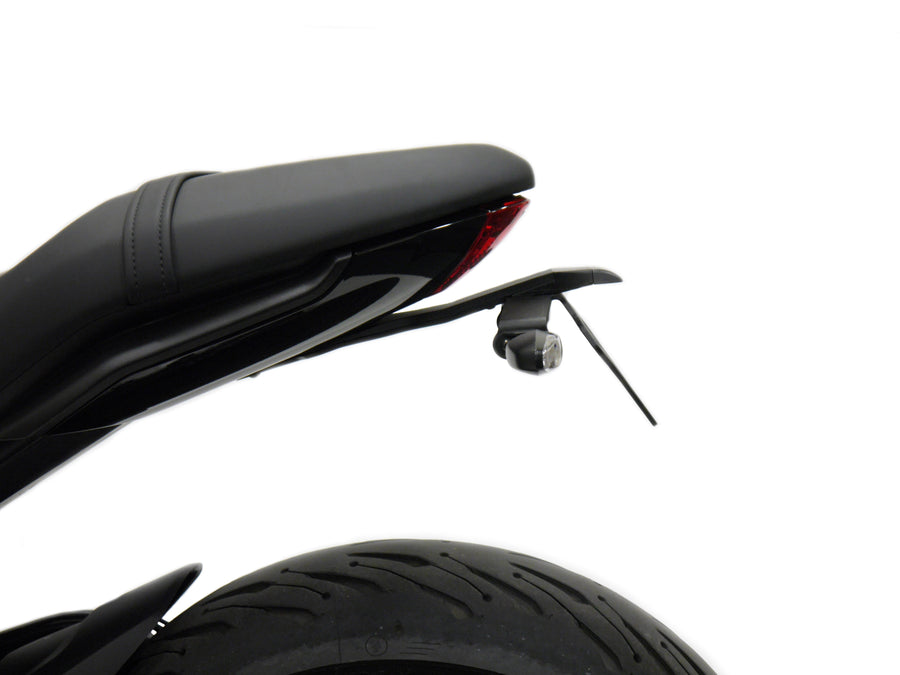 Triumph Trident 660 [2025] - Kennzeichenhalter