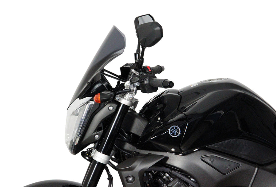 Yamaha FZ1 [2006-] – Tourenscheibe "NTM"