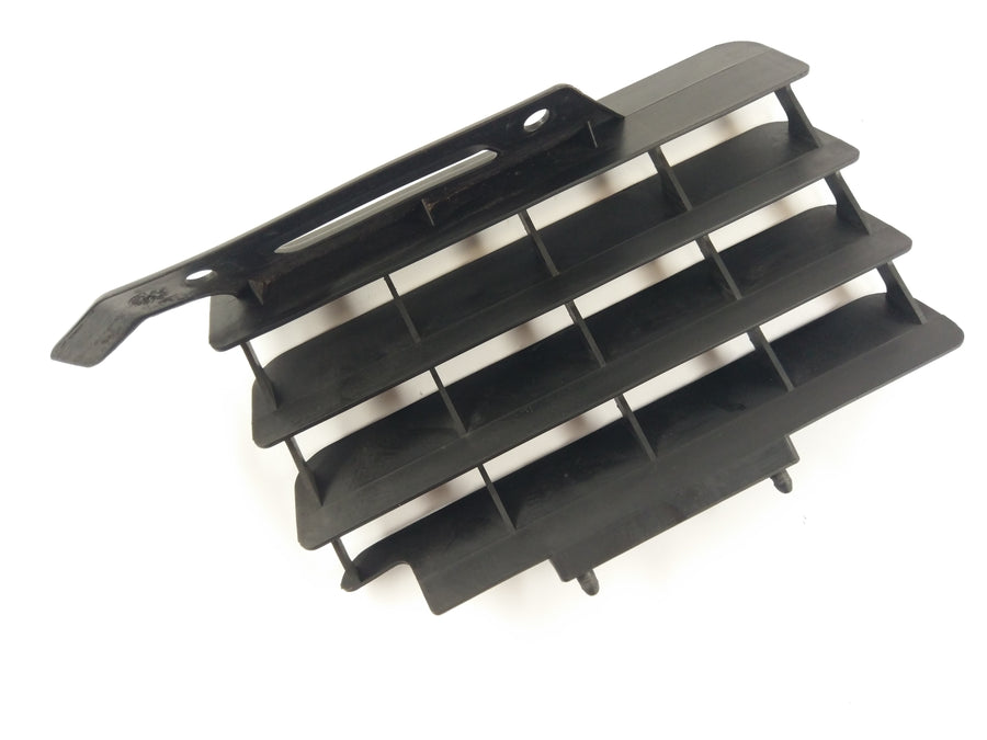 Yamaha WR 125 R DE07 [2010] - Real Grille Taping Cooler