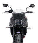Suzuki GSX-S 1000 S KATANA [2019-] – Spoilerscheibe "S"-1