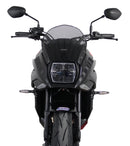 Suzuki GSX-S 1000 S KATANA [2019-] – Spoilerscheibe "S"-2