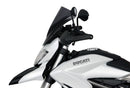 Ducati Hypertrada 821/939 [2013-]-Racing Disc "R"-9