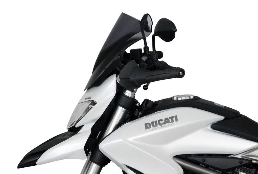 Ducati Hypertrada 821/939 [2013-]-Racing Disc "R"