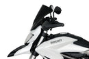 Ducati Hypertrada 821/939 [2013-]-Racing Disc "R"-10