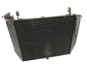 Yamaha YZF R1 RN09 [2002] - Radiator Waterkoeler Koelsysteem Radiator