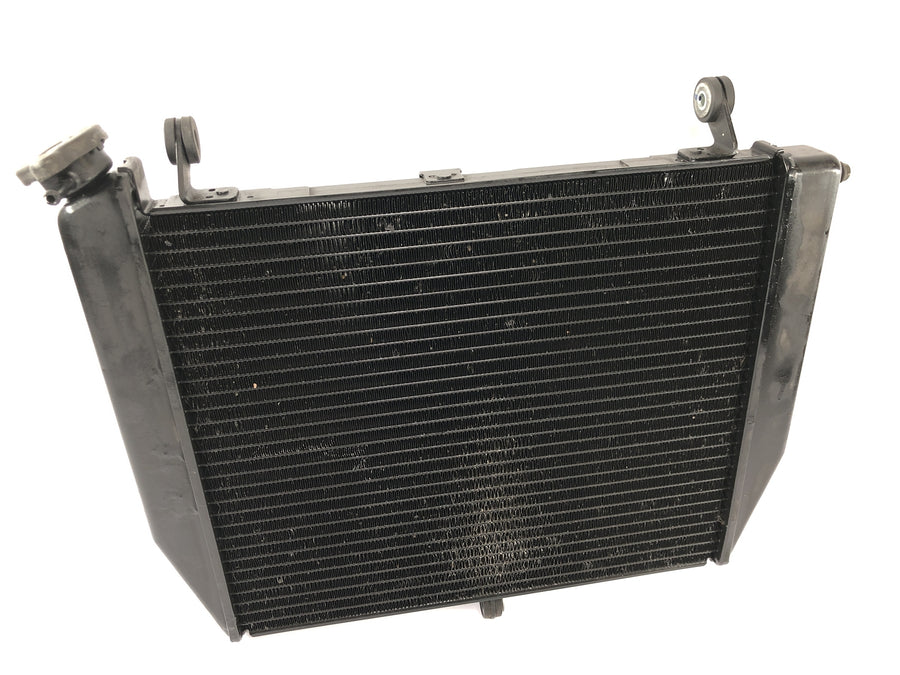 Yamaha YZF R1 RN09 [2002] - Radiator Waterkoeler Koelsysteem Radiator