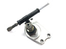 BMW K 1200 RS [1997] - lower fork bridge with steering damper