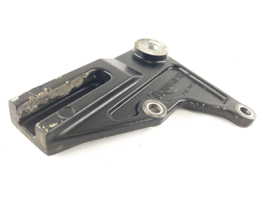 Triumph Bonneville 800 T100 [2004] - Brake anchor anchor plate