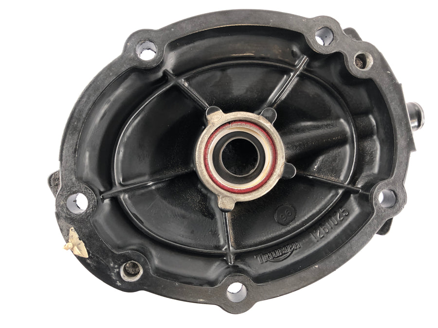 Triumph Speed ​​Triple T509 [1997] - Engine cover