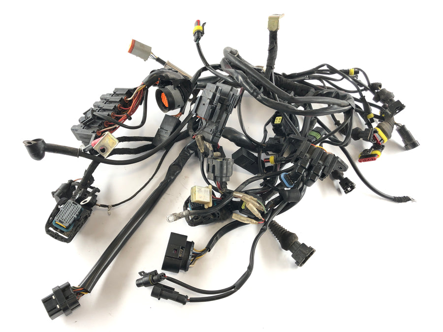 Ducati Multistrada 1000 DS [2003] - Wiring harness main wiring harness