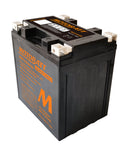 HARLEY-DAVIDSON FLHR [2008-2009] - Motorradbatterie