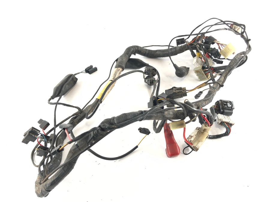 Triumph Thunderbird 900 RT T309 [1997] - Kabelering