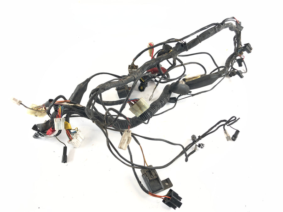 Triumph Thunderbird 900 RT T309 [1997] - Kabelering