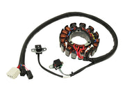 POLARIS 700 CLEANFIRE DRAGON [2007] - Stator für Polaris 600/700/800