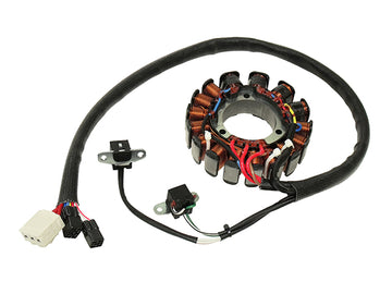 POLARIS 800 ASSAULT RMK [2009-2010] - Stator für Polaris 600/700/800