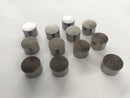 Triumph Daytona 955i T595N [2002] - Pestle Pestle Cups Pestle Cups-1