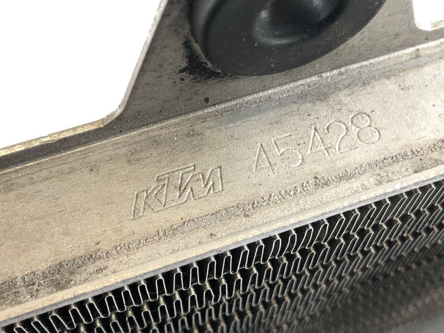 Yamaha XT 660 DM01 [2005] - Wasserkühler