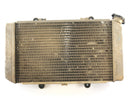 Yamaha Grizzly 660 AM03W [2003] - Koel waterkoeler-1