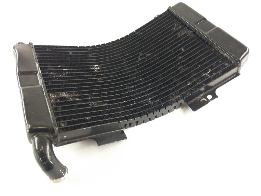 Aprilia RS 250 [1998] - Radiator water cooler defective
