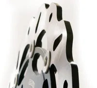 Triumph Trophy 1200 [1994-1996] - Bremsscheiben – Bild 9