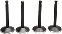 Harley Davidson FX Shovel [KIBBLEWHITE] – Black Diamond™ Motorventilsatz
