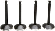 Harley Davidson FX Shovel [KIBBLEWHITE] – Black Diamond™ Engine Valve Kit
