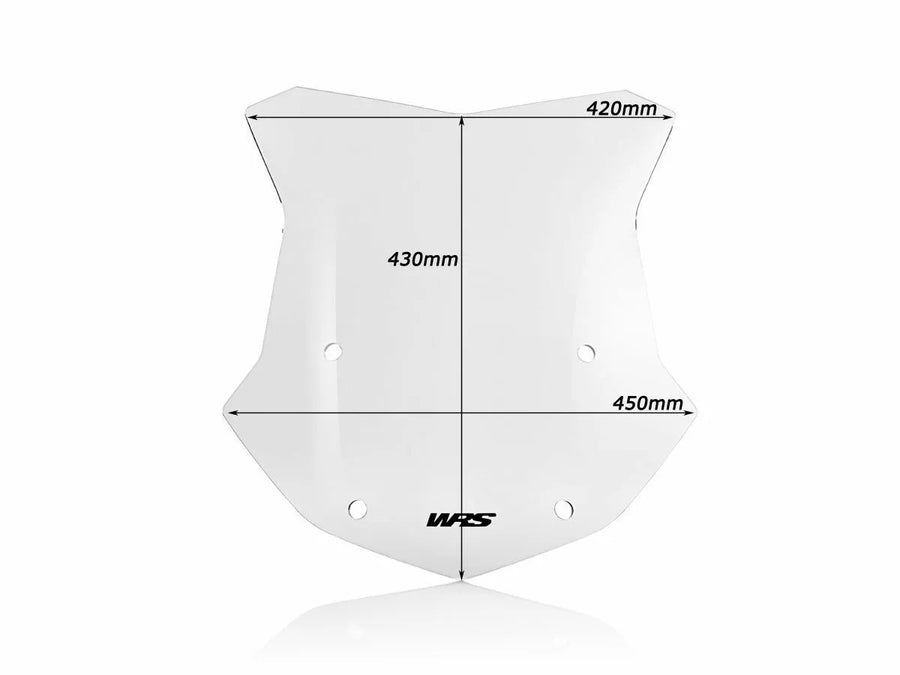 BMW R 1200 R [WRS] – Windschild