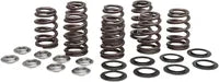 Harley-Davidson FLRT 1868 Freewheeler 114 [2021-2024] - Titanium klepveerhouderset - foto 10