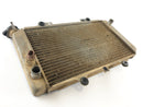 Yamaha Grizzly 660 AM03W [2003] - Koel waterkoeler-4